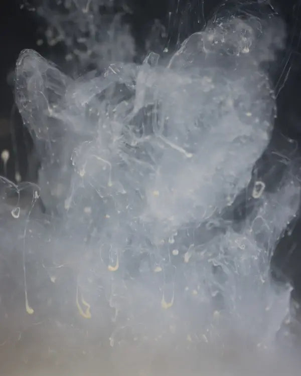 DNA SLK AMINO SMOKE